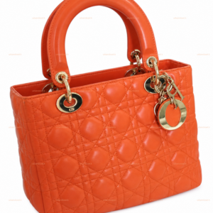 Christian Dior Lady Dior